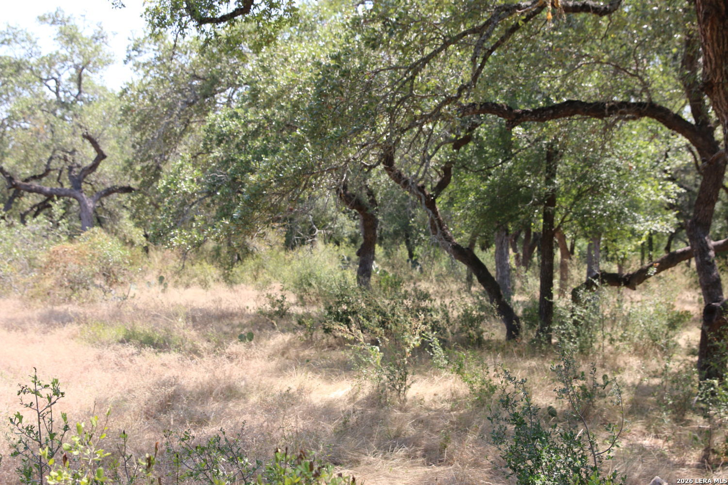 Tbd Stone Loop Castroville TX 78009