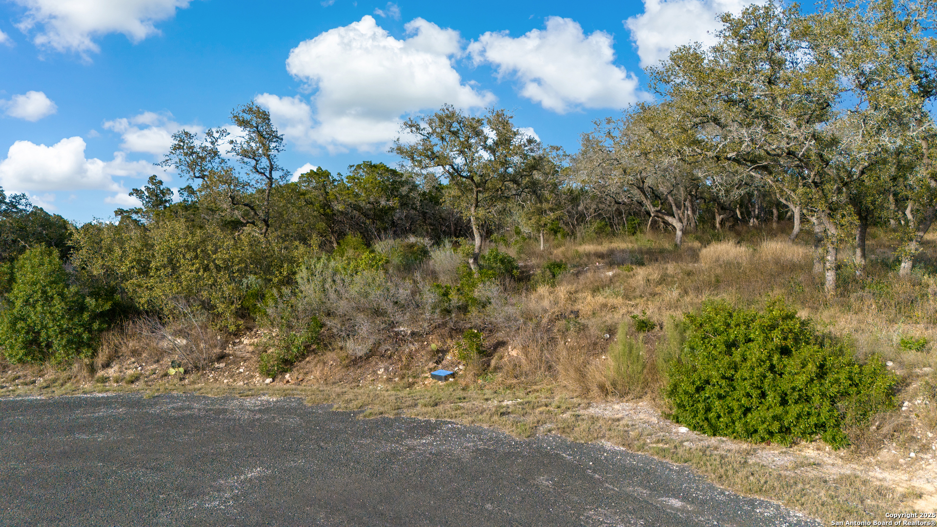 Lot 7, Pr 2773 Mico TX 78056