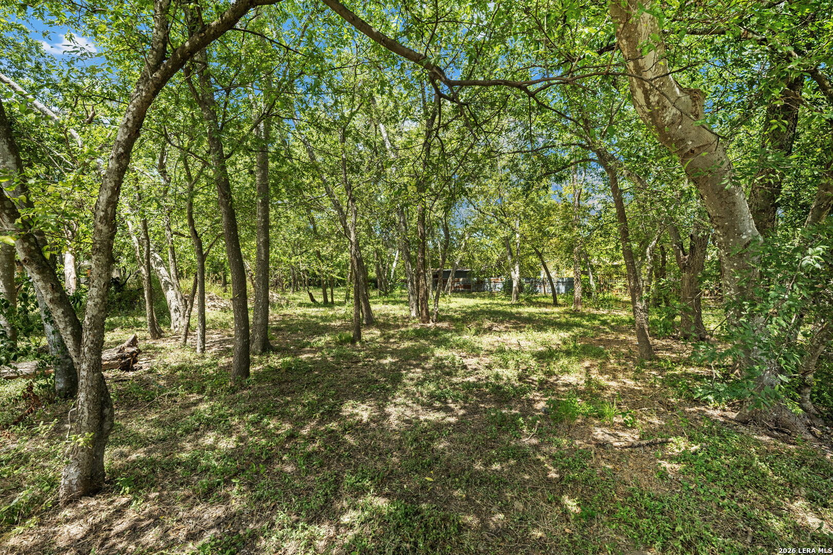 3243 Martin Luther King Drive San Antonio TX 78220