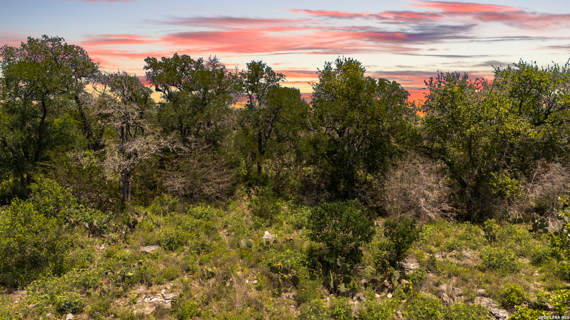 189 Morning View Drive New Braunfels TX 78132