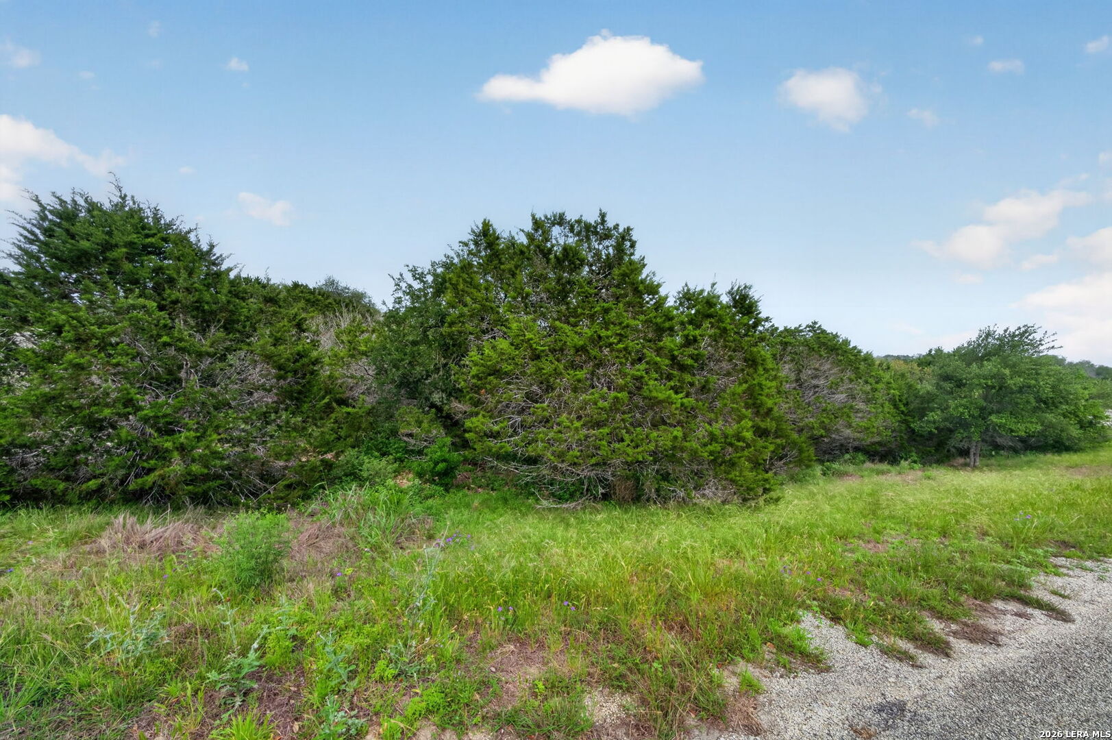 189 Morning View Drive New Braunfels TX 78132