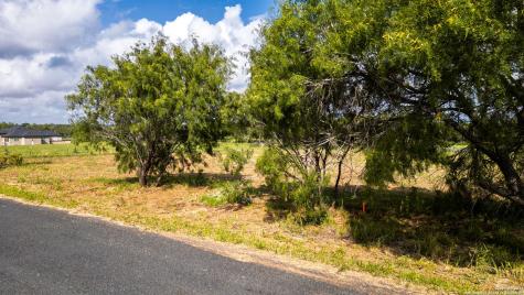 21133 Toudouze Road San Antonio TX 78264