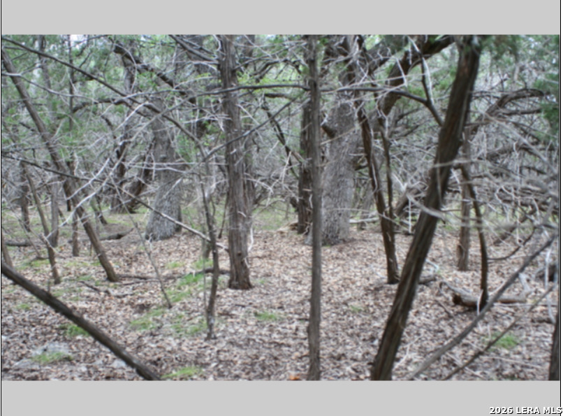 848 Fawn River Drive Spring Branch TX 78070