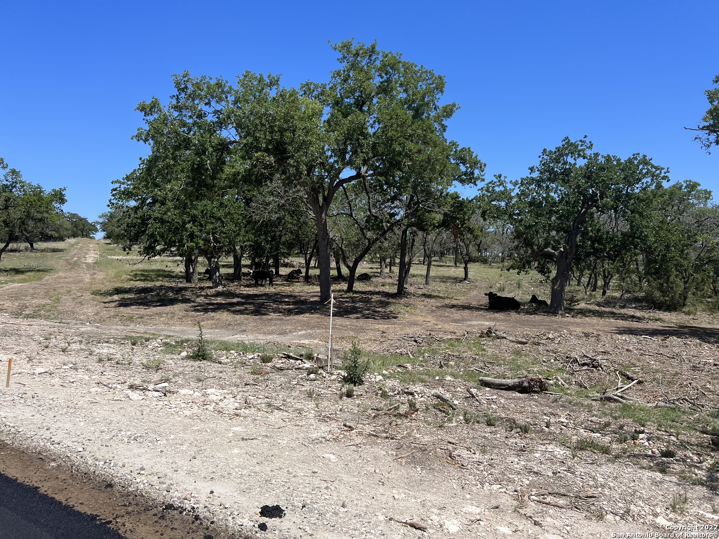 124 Brooklyn Drive NW Mountain Home TX 78058