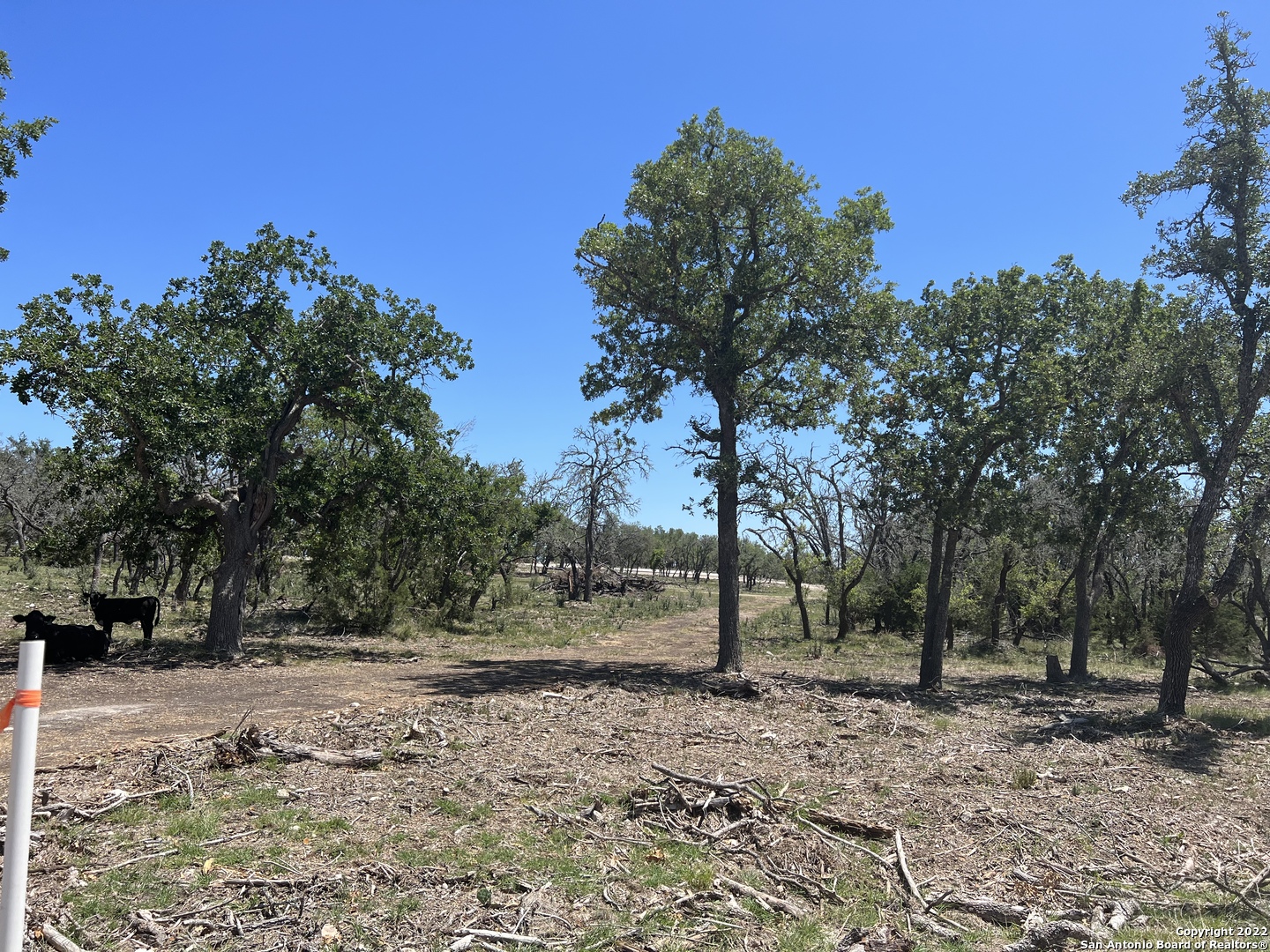 124 Brooklyn Drive NW Mountain Home TX 78058