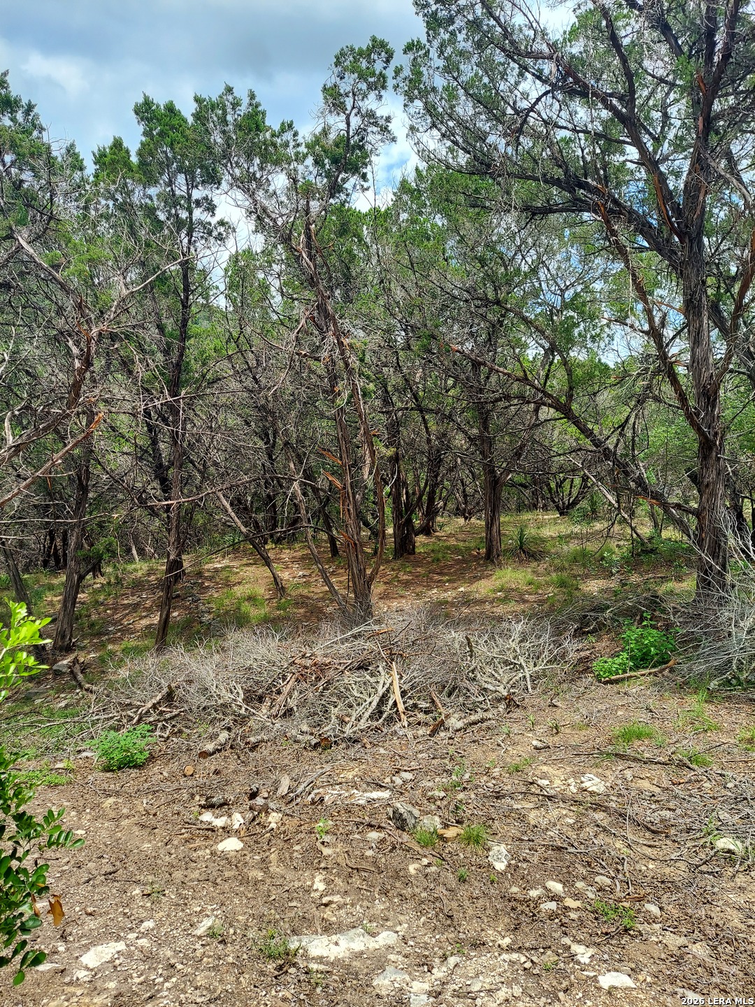 Lot 10 Canyon Lakehills TX 78063