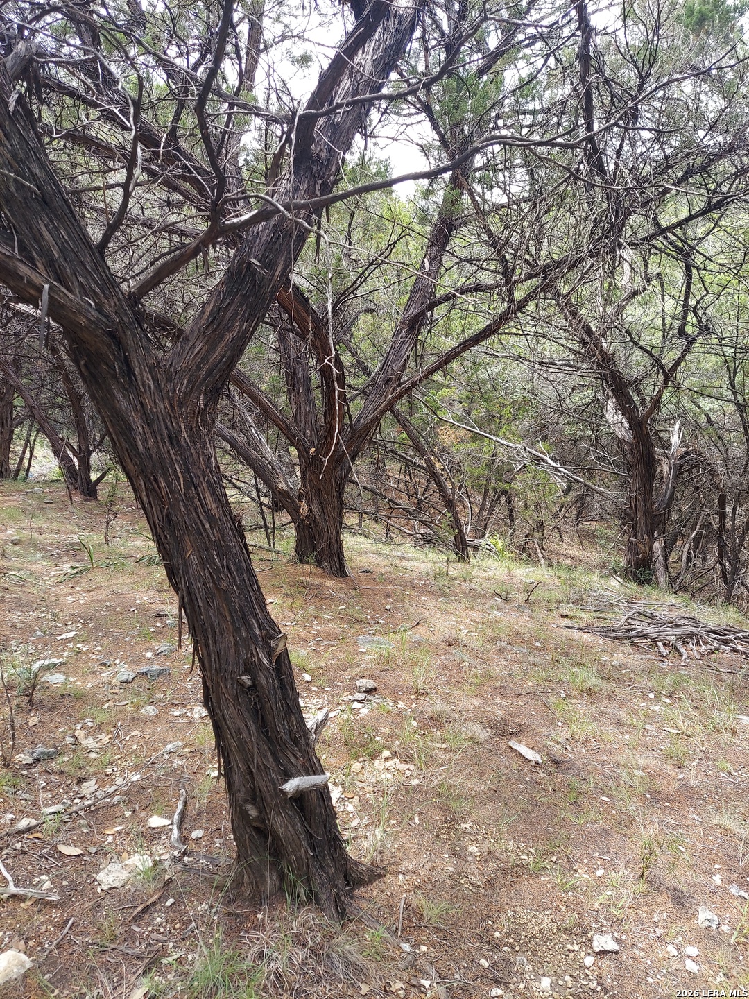 Lot 10 Canyon Lakehills TX 78063