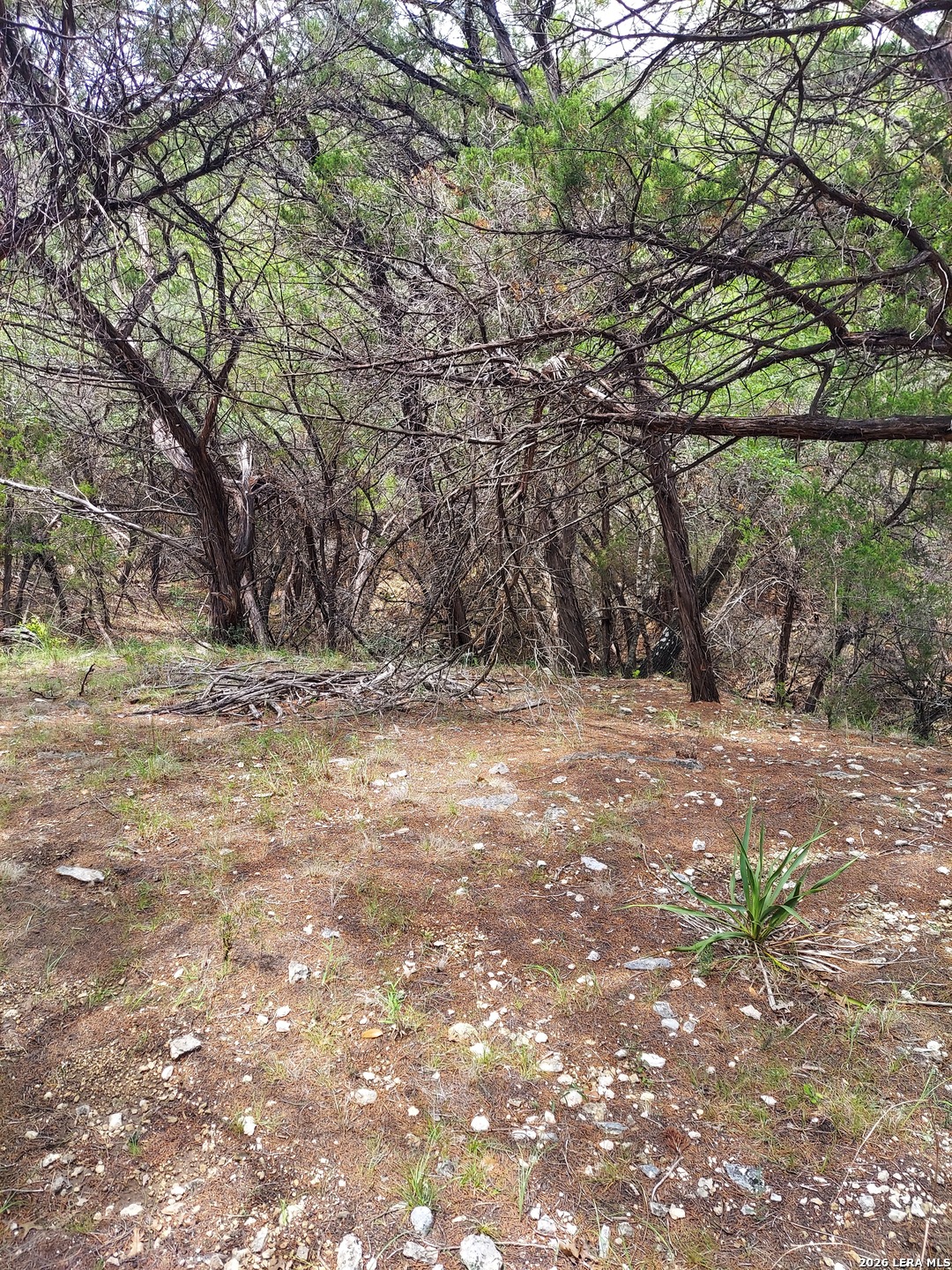 Lot 10 Canyon Lakehills TX 78063