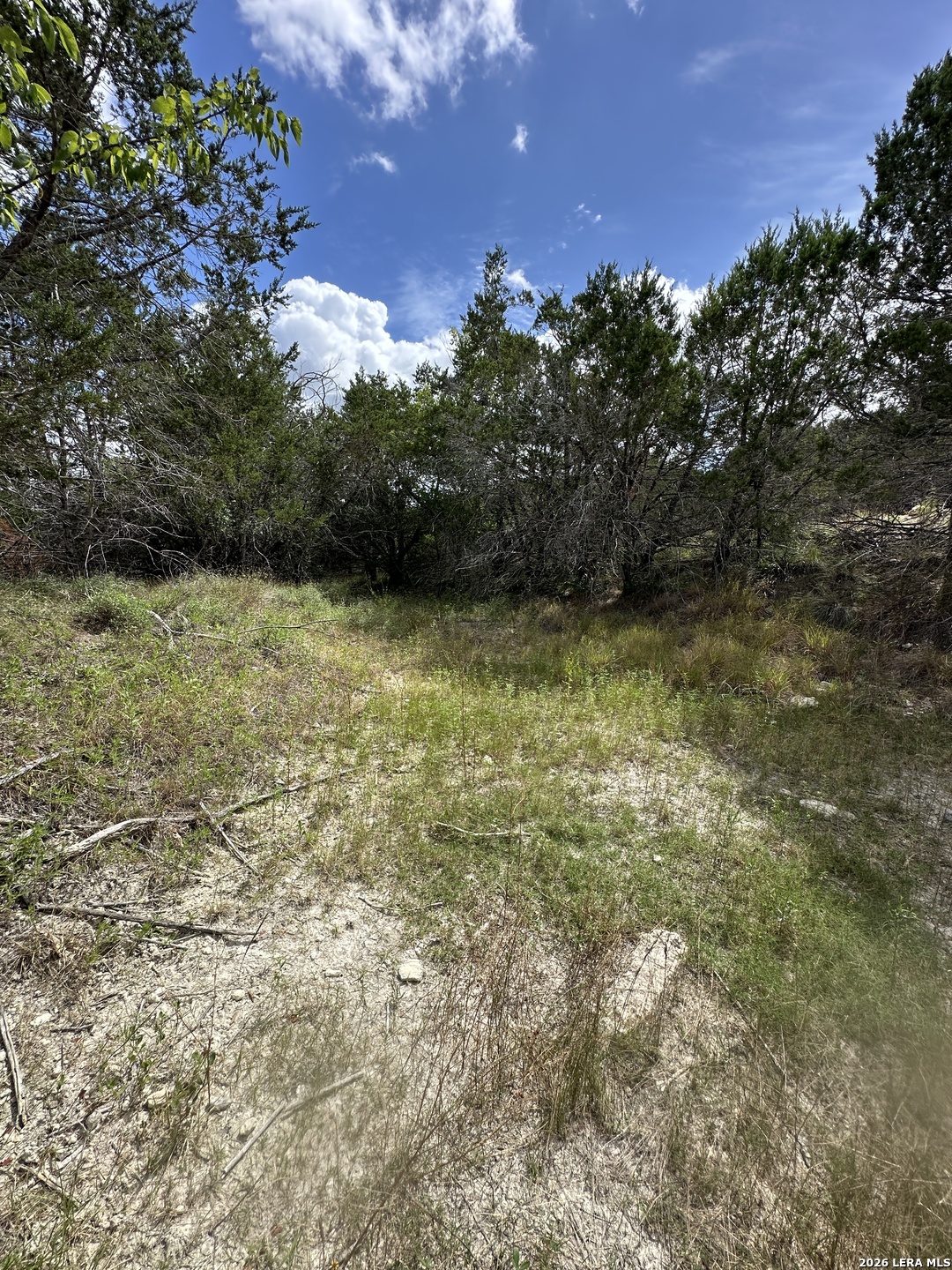 393 Us Highway 87 Comfort TX 78013