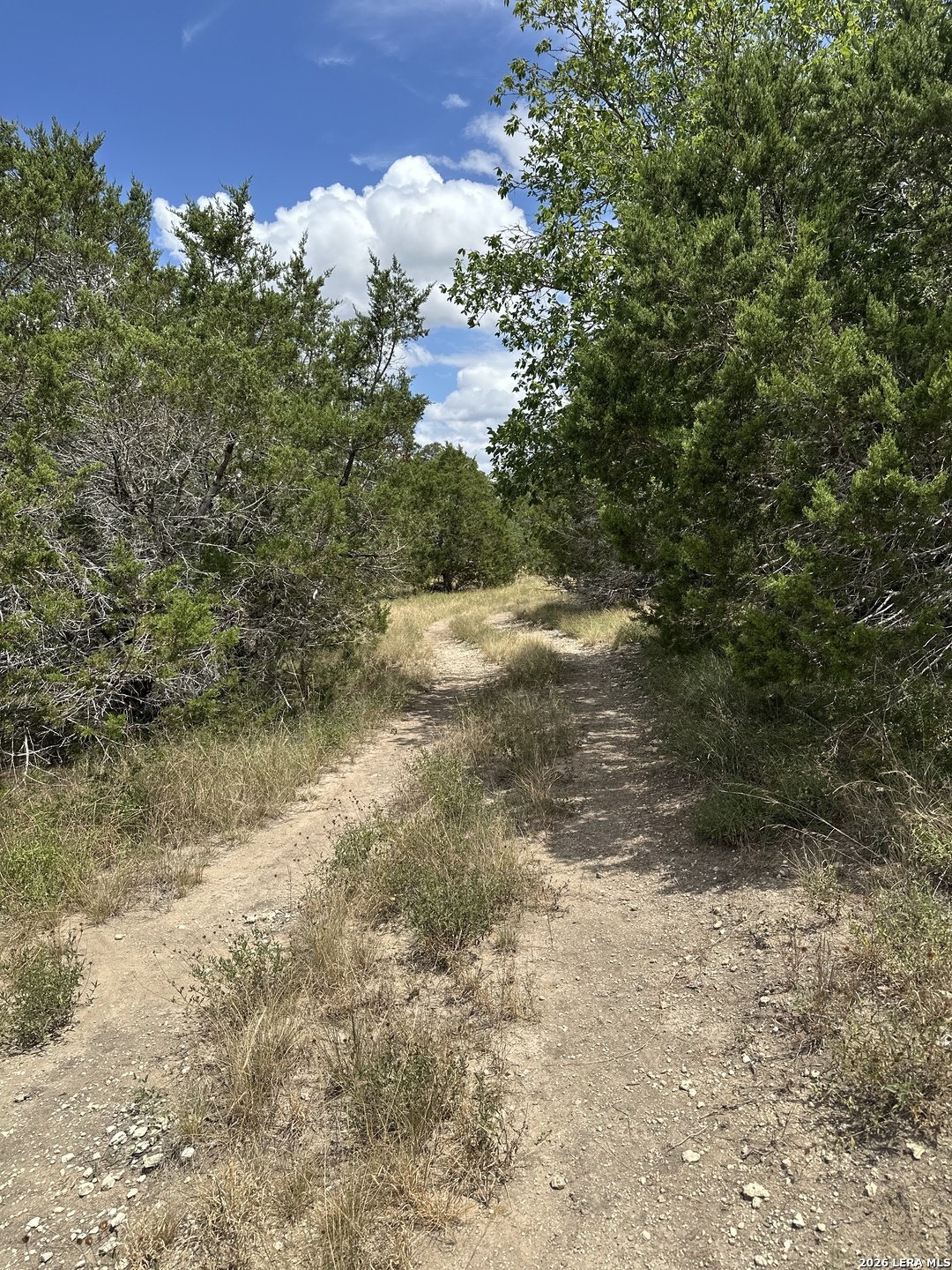 393 Us Highway 87 Comfort TX 78013