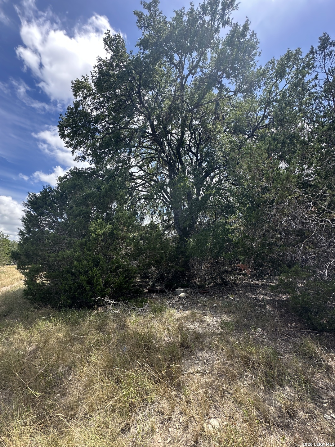 393 Us Highway 87 Comfort TX 78013