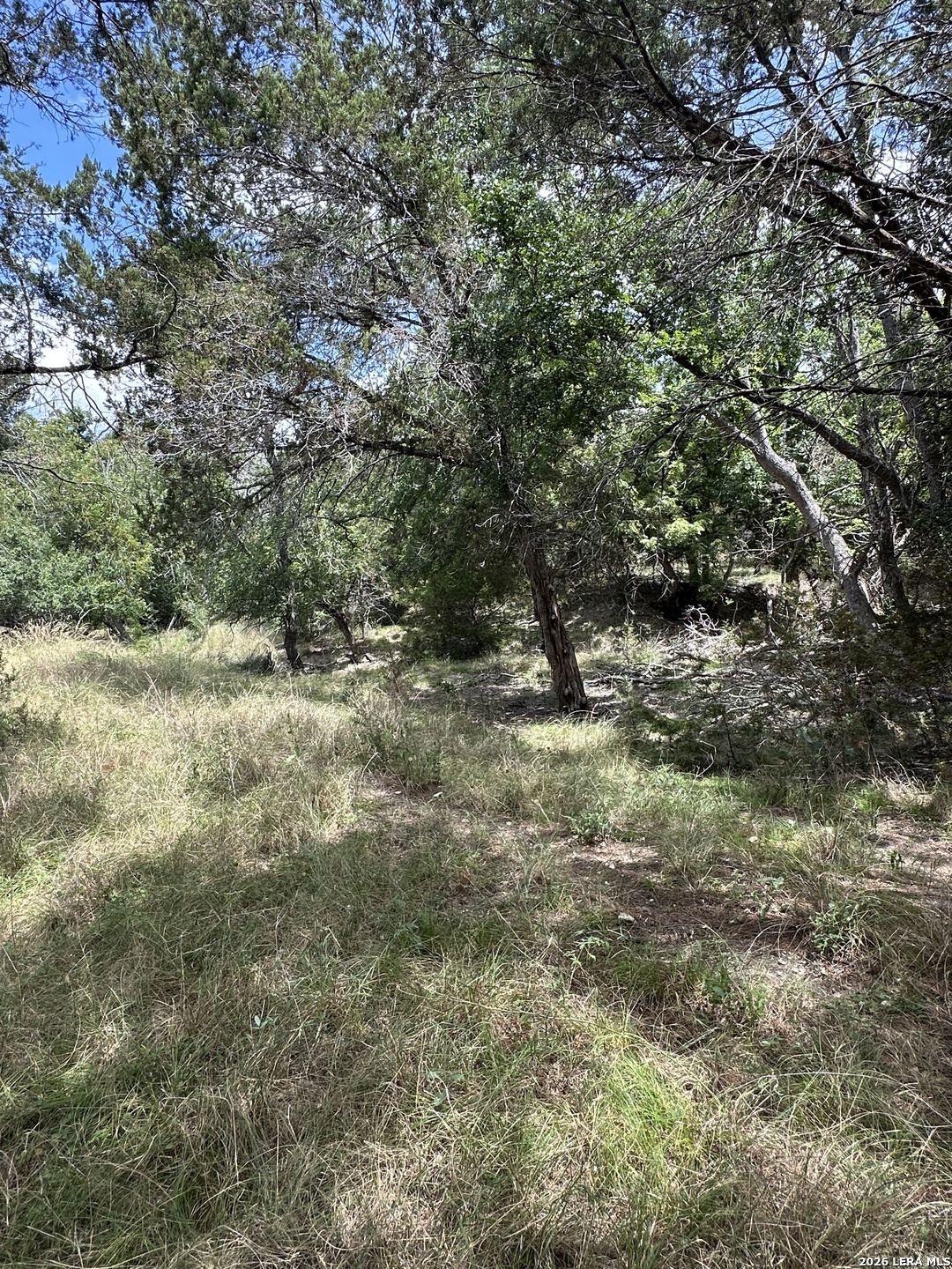 393 Us Highway 87 Comfort TX 78013