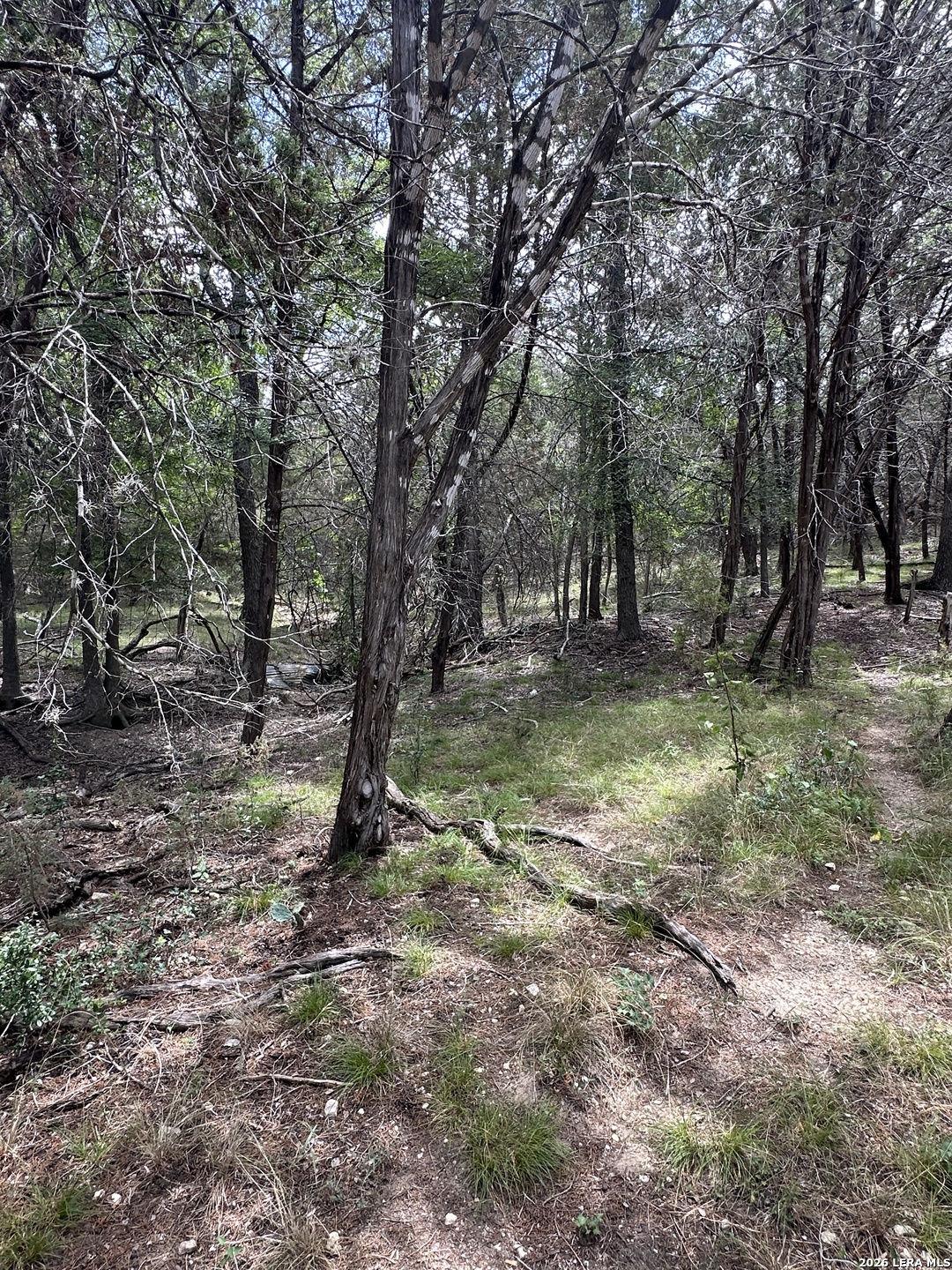 393 Us Highway 87 Comfort TX 78013