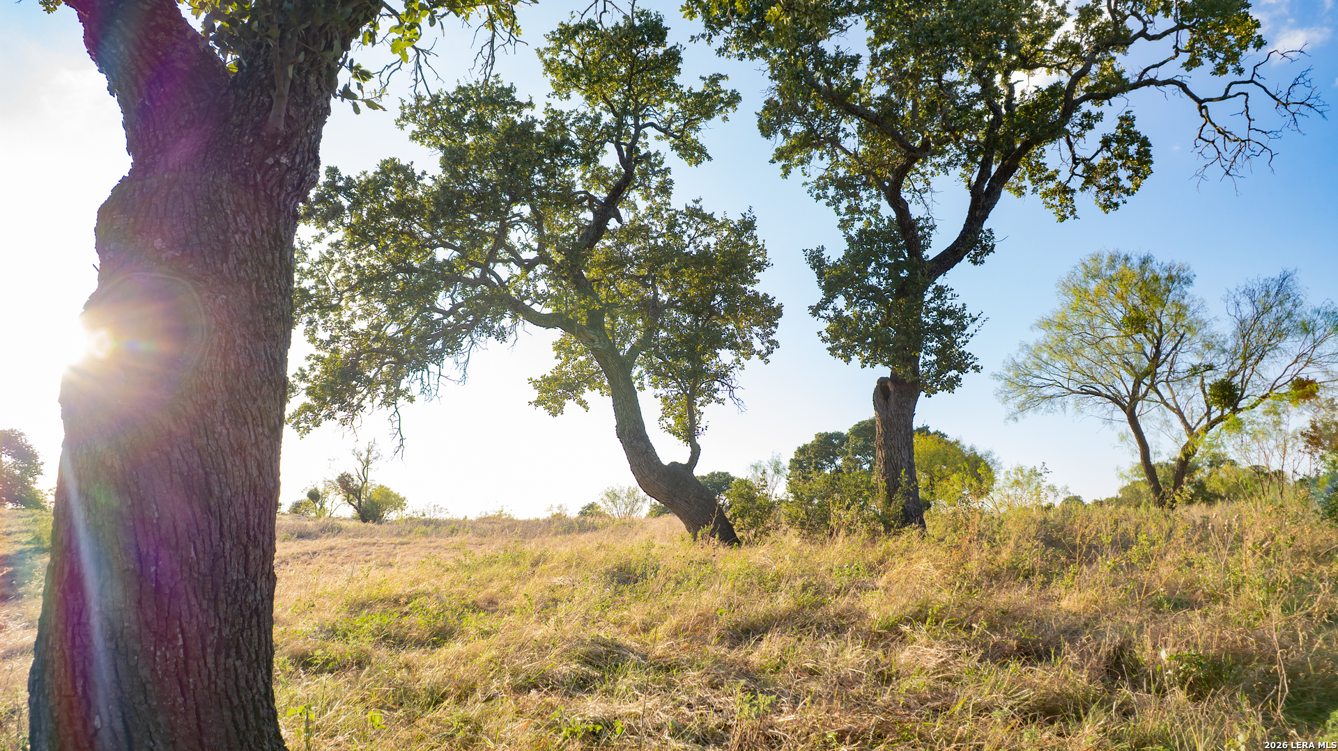 209 Rocky Hollow Road San Saba TX 76877