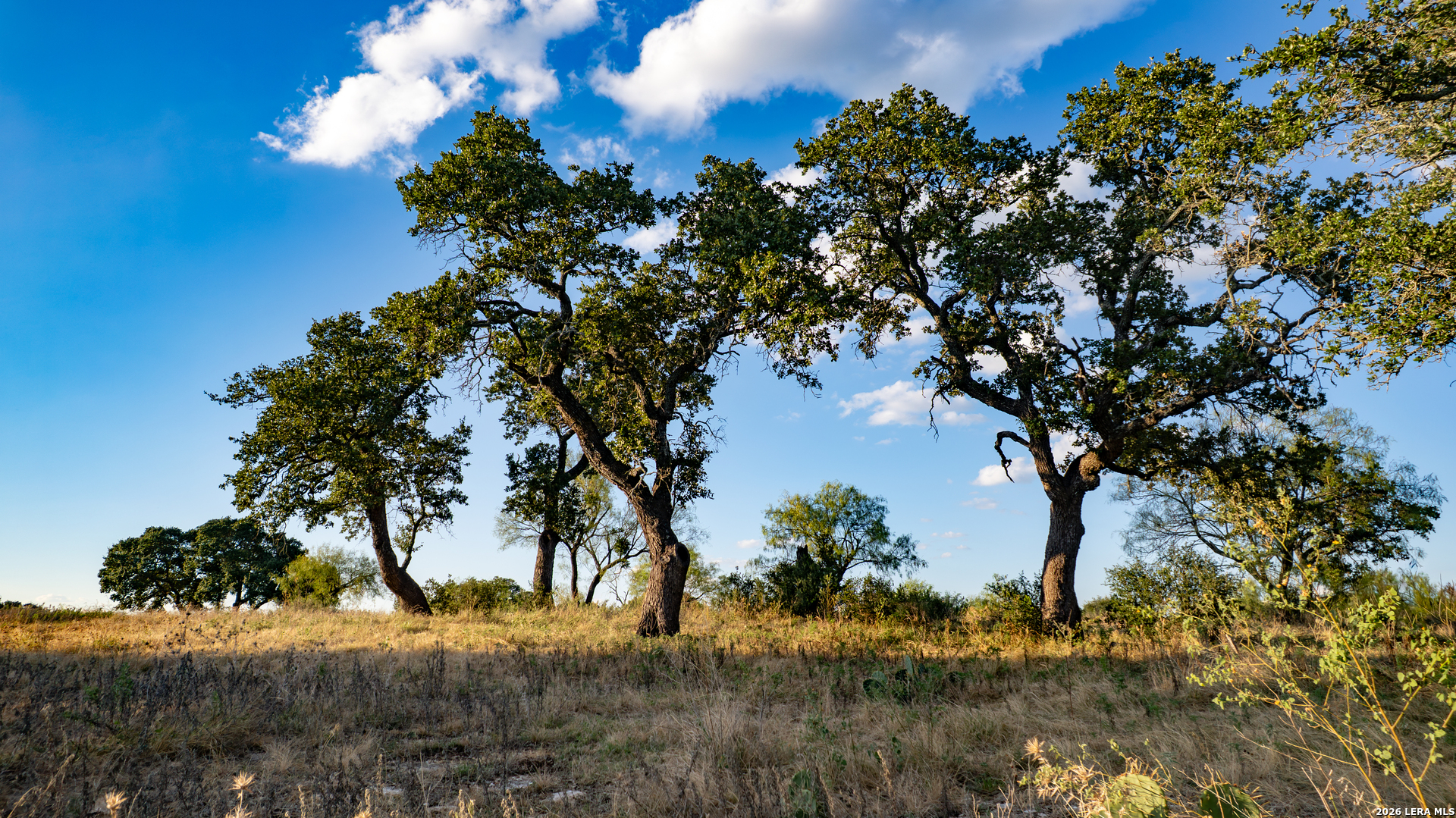 209 Rocky Hollow Road San Saba TX 76877