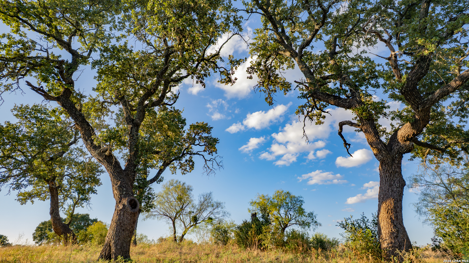 209 Rocky Hollow Road San Saba TX 76877
