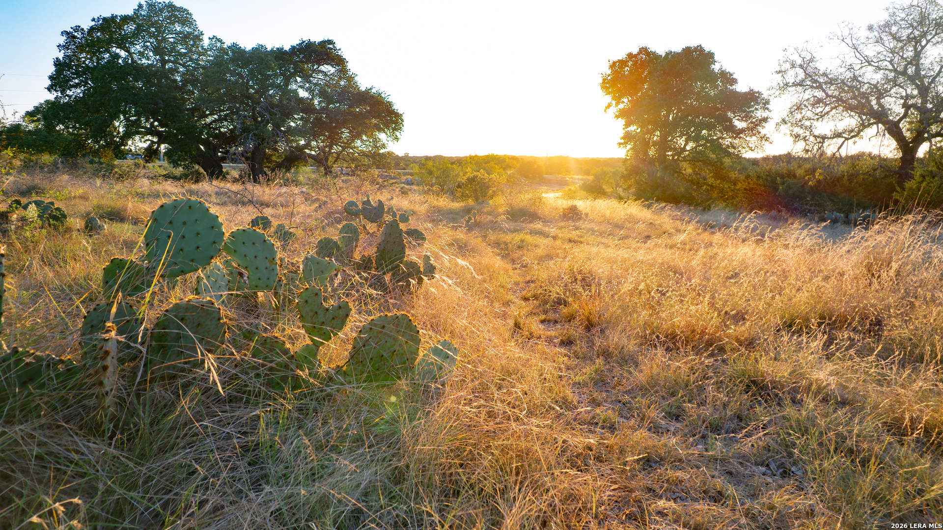 209 Rocky Hollow Road San Saba TX 76877