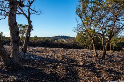 474 Zapata Ridge Medina TX 78055