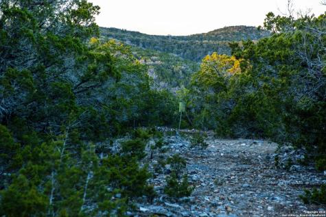 474 Zapata Ridge Medina TX 78055