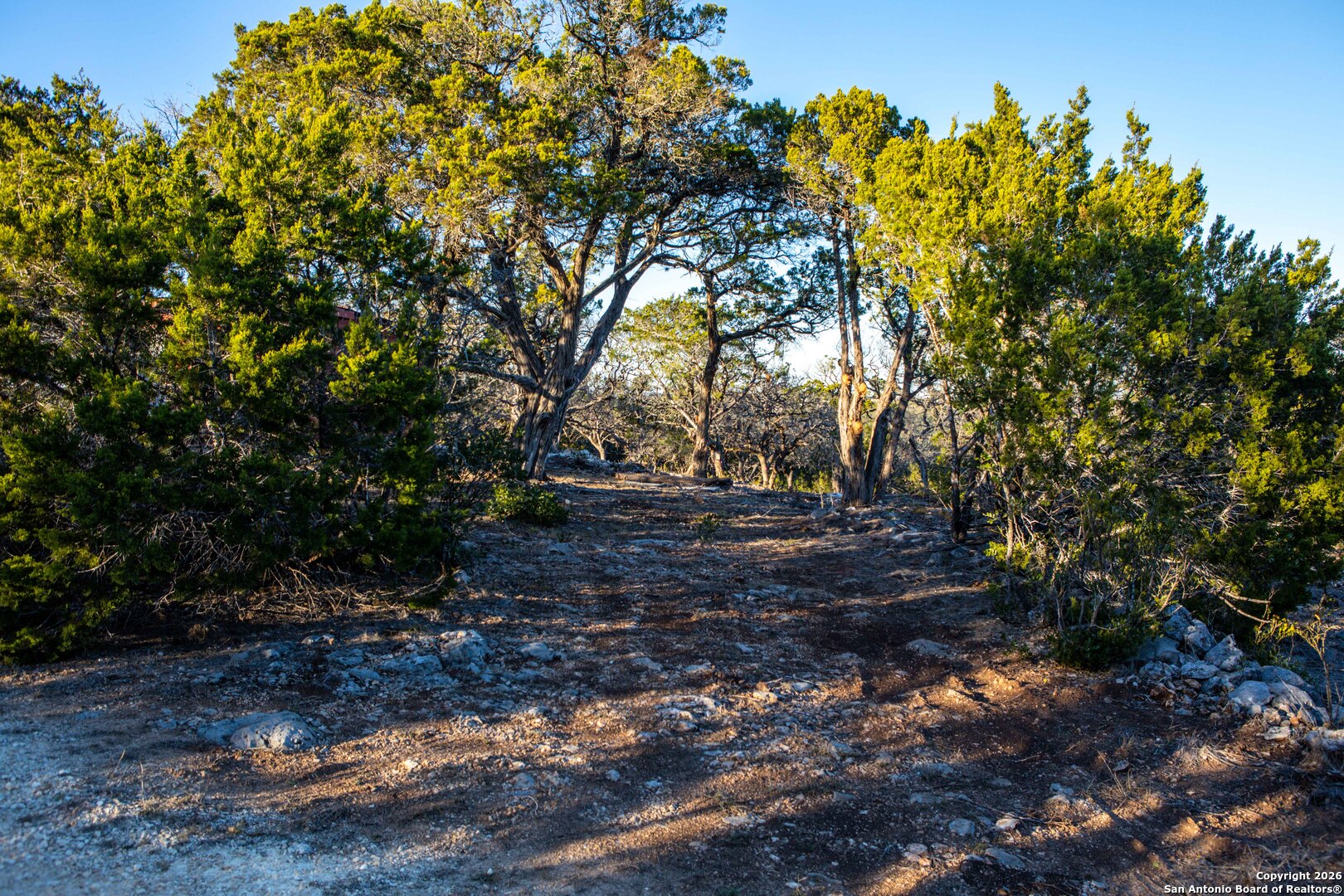 474 Zapata Ridge Medina TX 78055