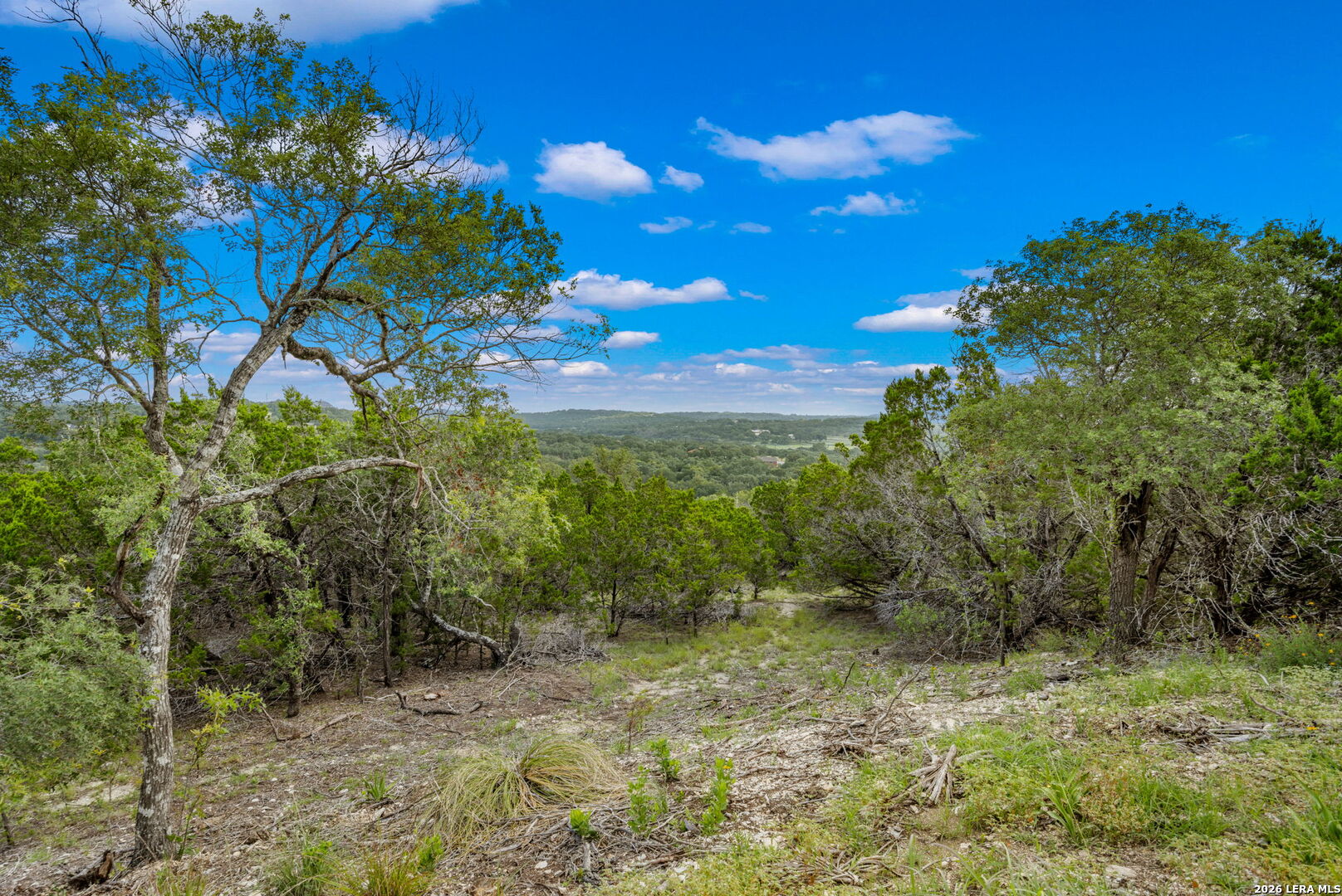 335 Shepherds Ranch Bulverde TX 78163