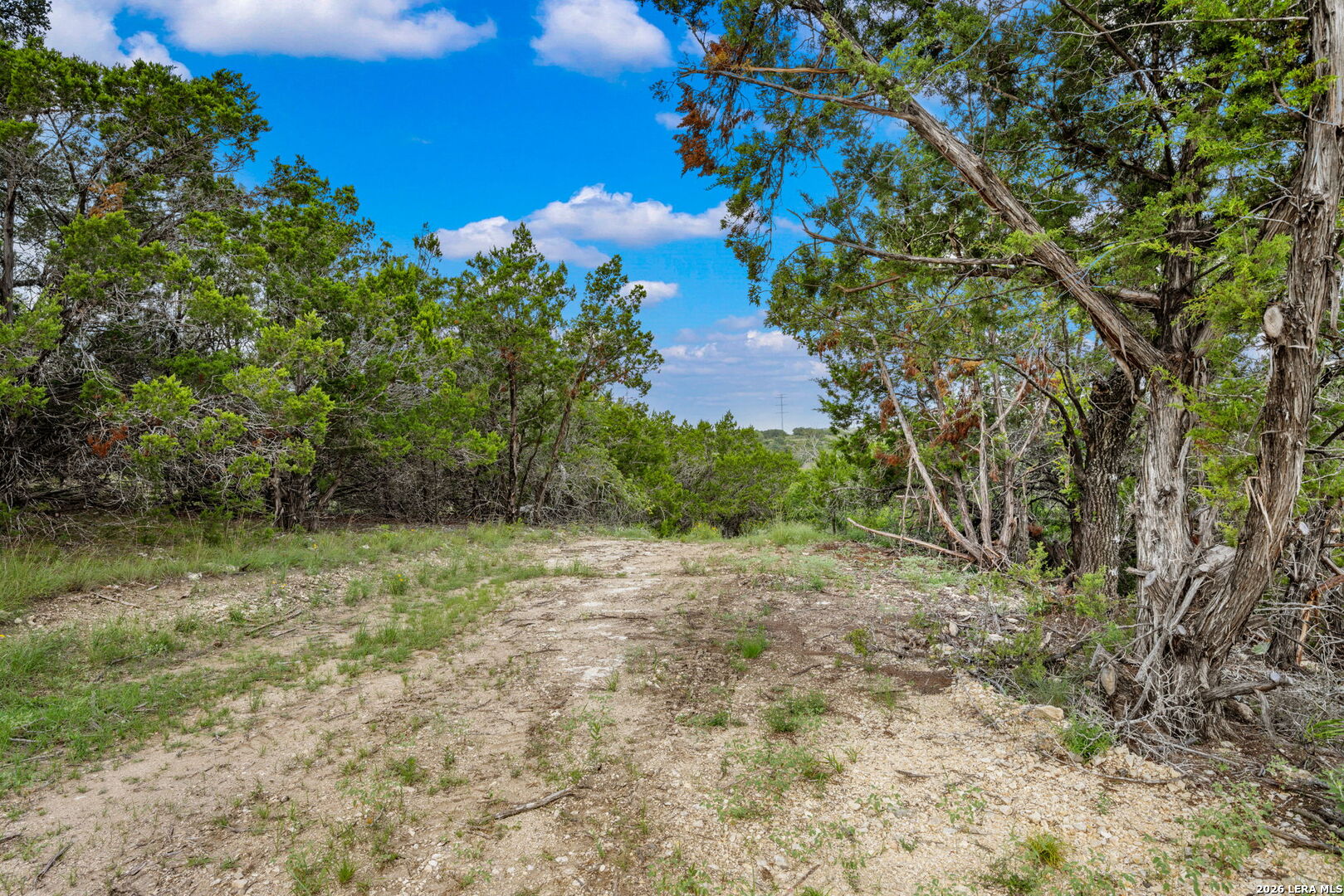 335 Shepherds Ranch Bulverde TX 78163