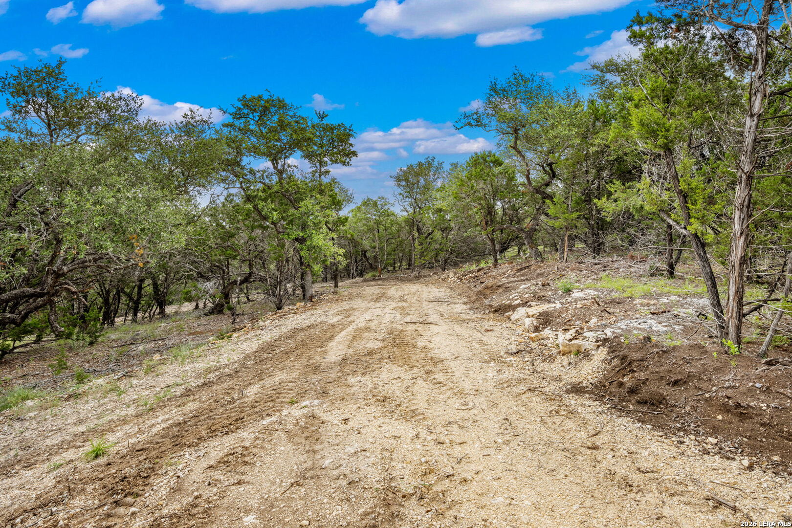 335 Shepherds Ranch Bulverde TX 78163