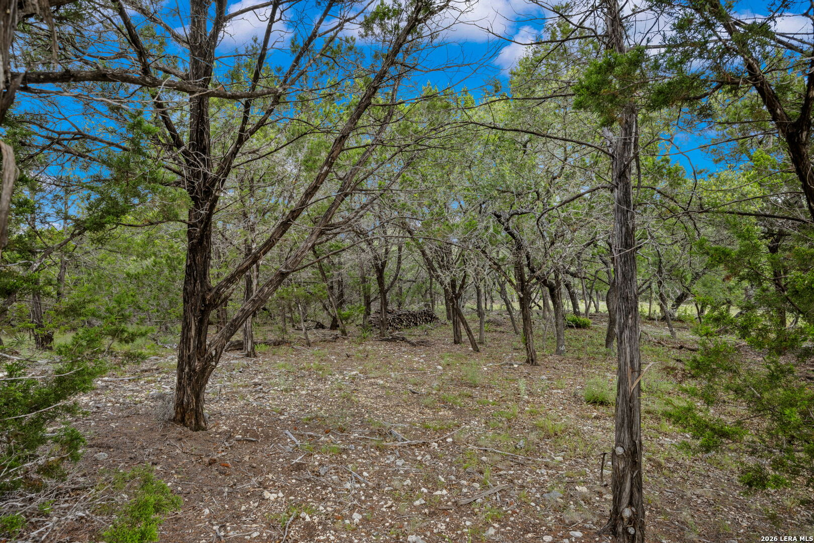 335 Shepherds Ranch Bulverde TX 78163