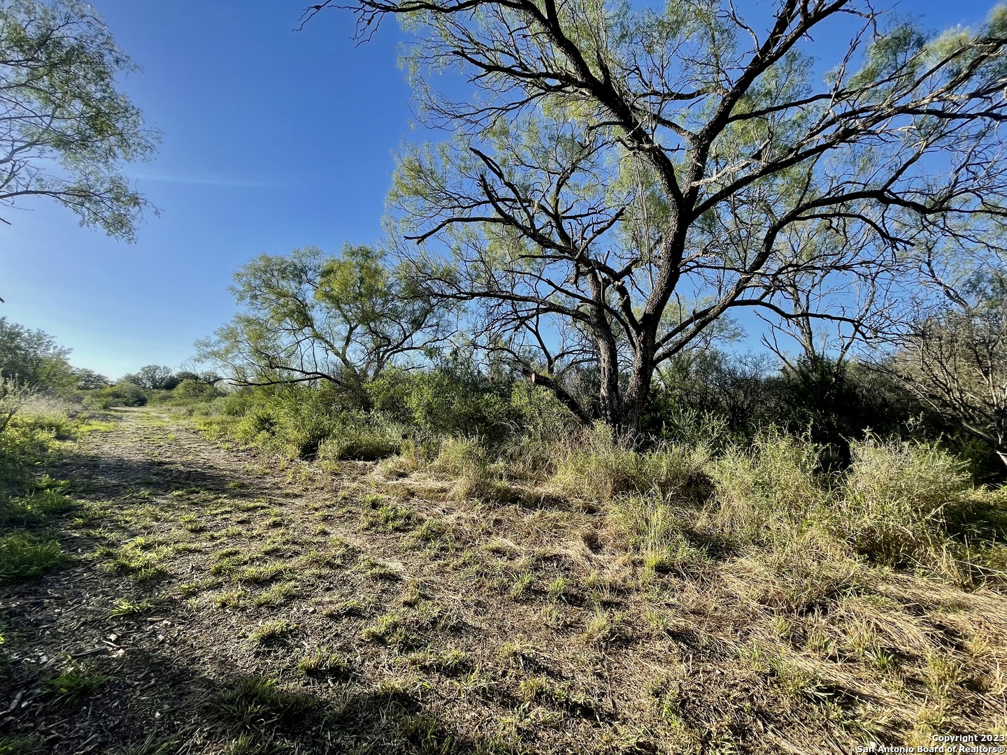 000 Fm 2779 Moore TX 78057