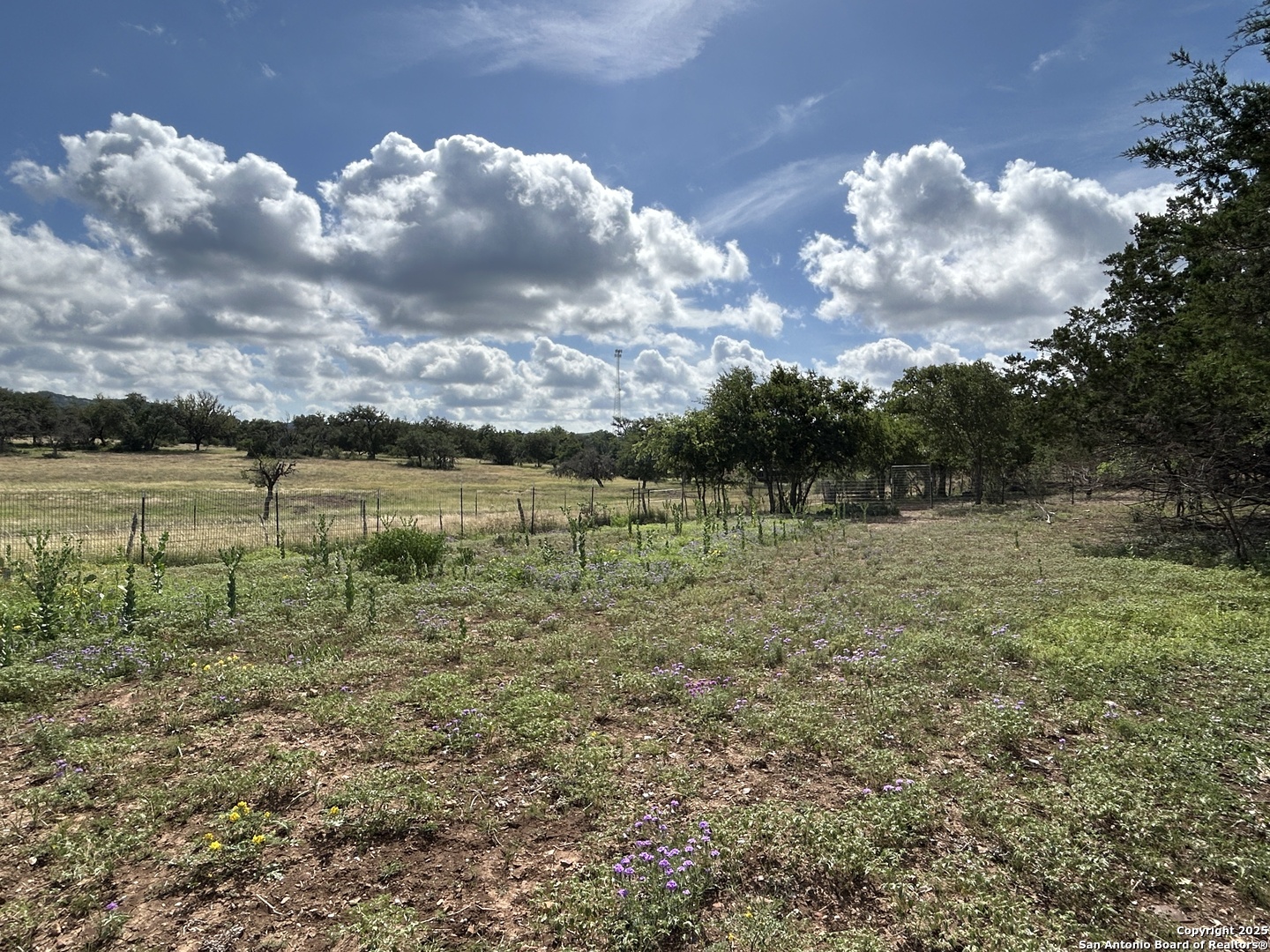 1619 Stringtown Medina TX 78055