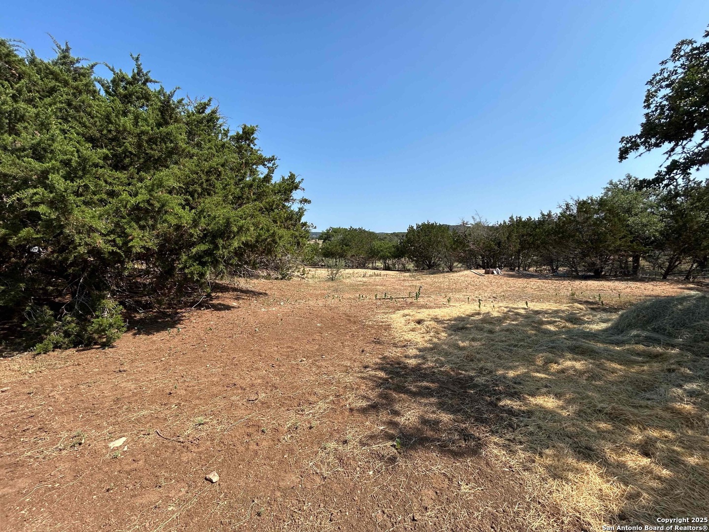 1619 Stringtown Medina TX 78055