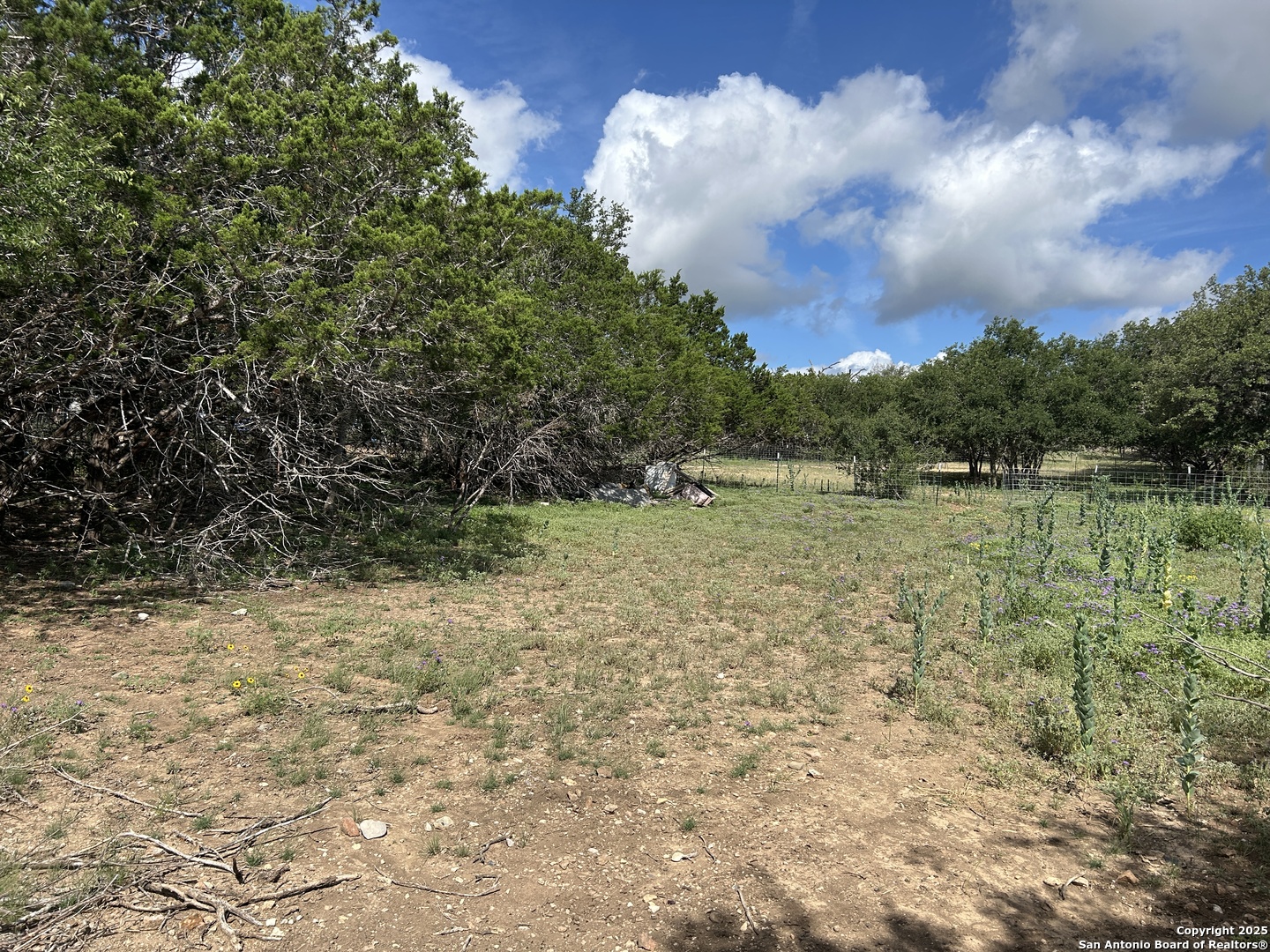1619 Stringtown Medina TX 78055