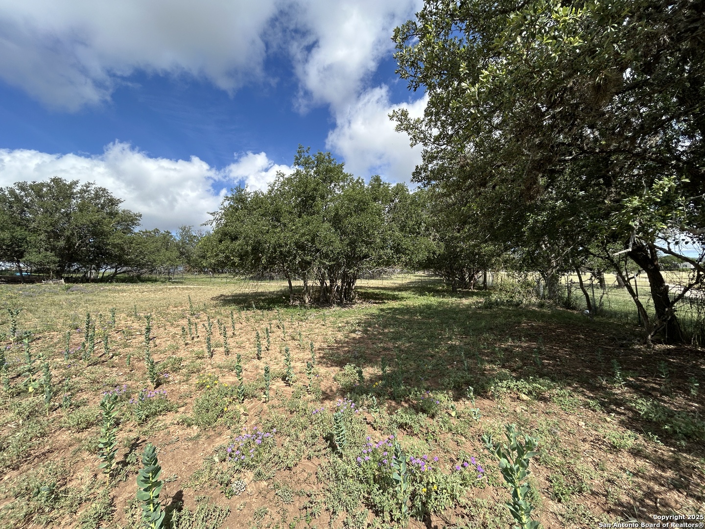 1619 Stringtown Medina TX 78055