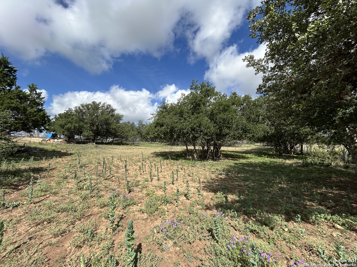1619 Stringtown Medina TX 78055