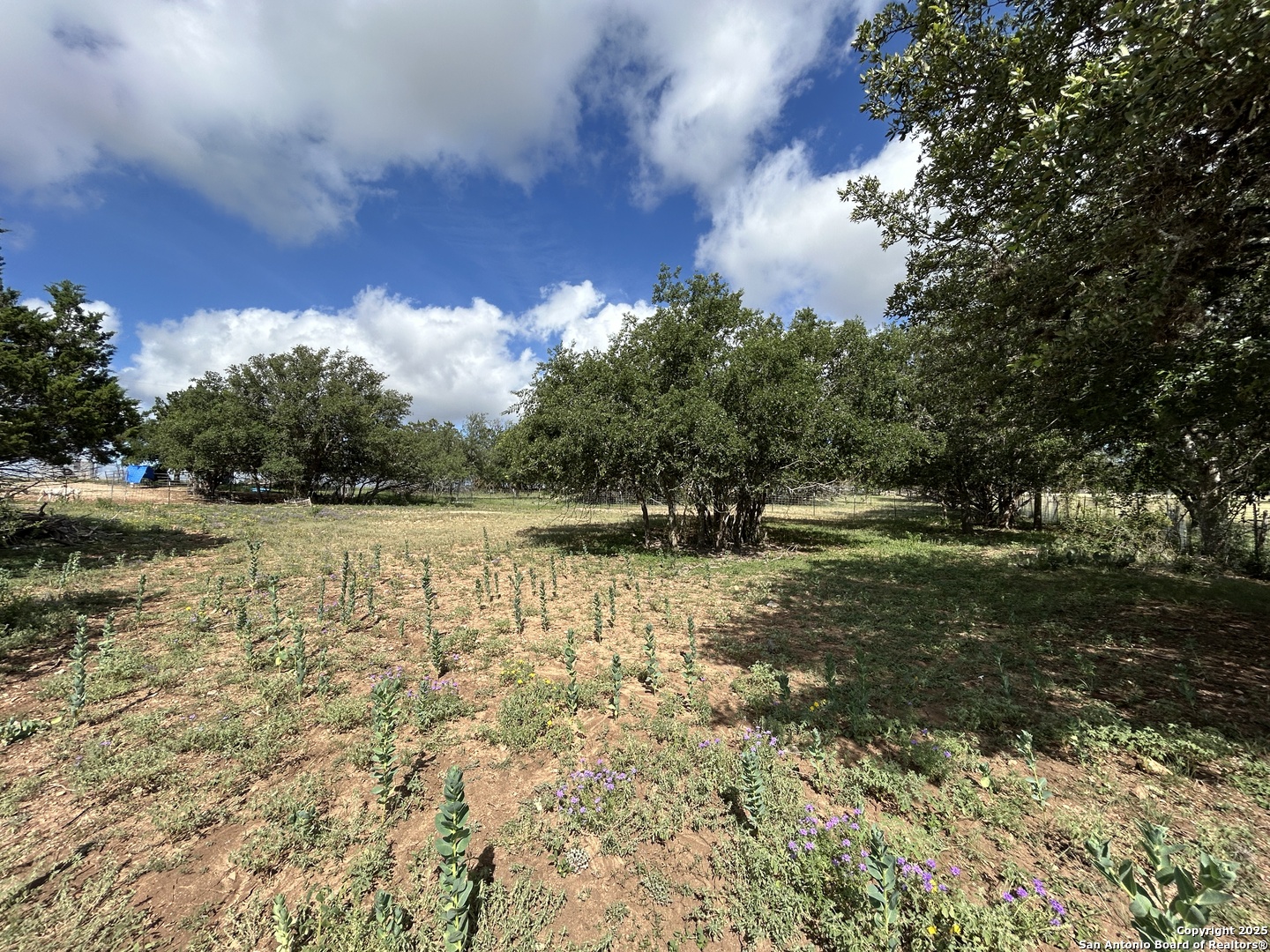 1619 Stringtown Medina TX 78055
