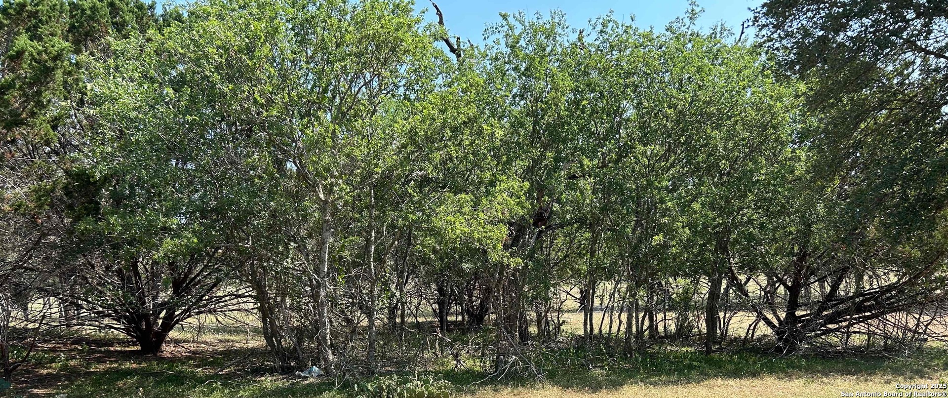 1619 Stringtown Medina TX 78055