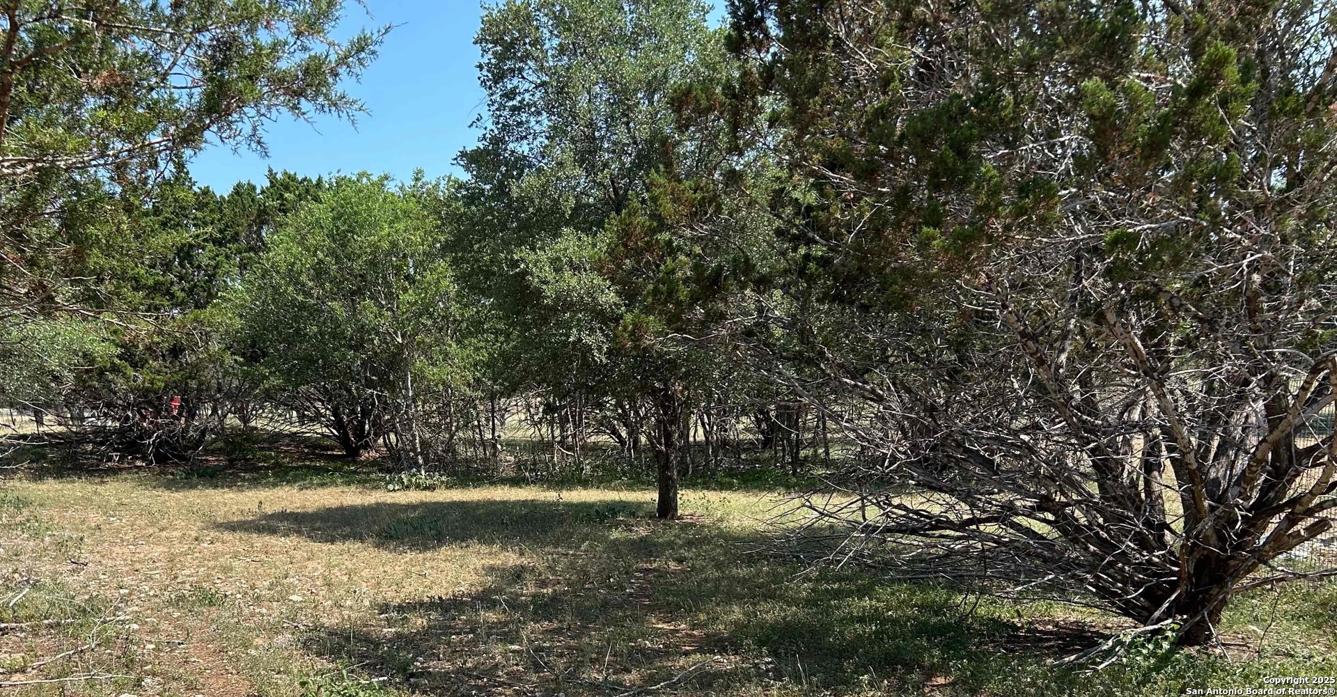 1619 Stringtown Medina TX 78055