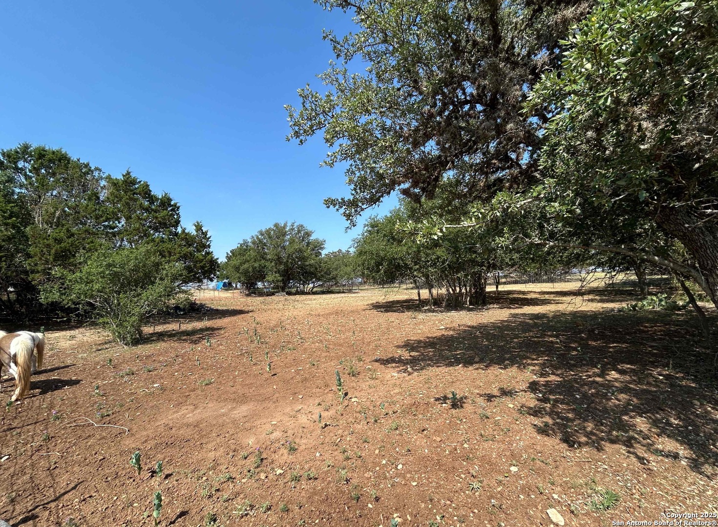 1619 Stringtown Medina TX 78055