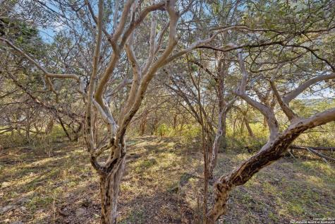 1831 W Lakeside Drive Canyon Lake TX 78133