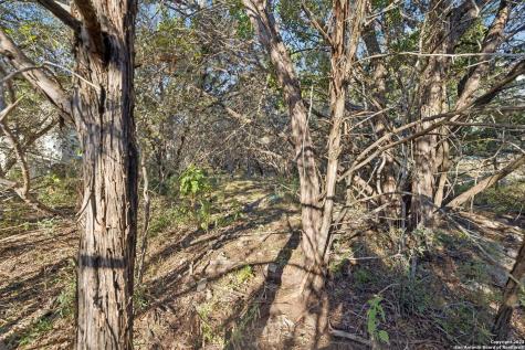 1831 W Lakeside Drive Canyon Lake TX 78133