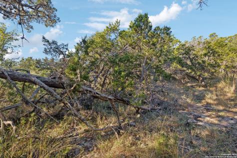 1831 W Lakeside Drive Canyon Lake TX 78133