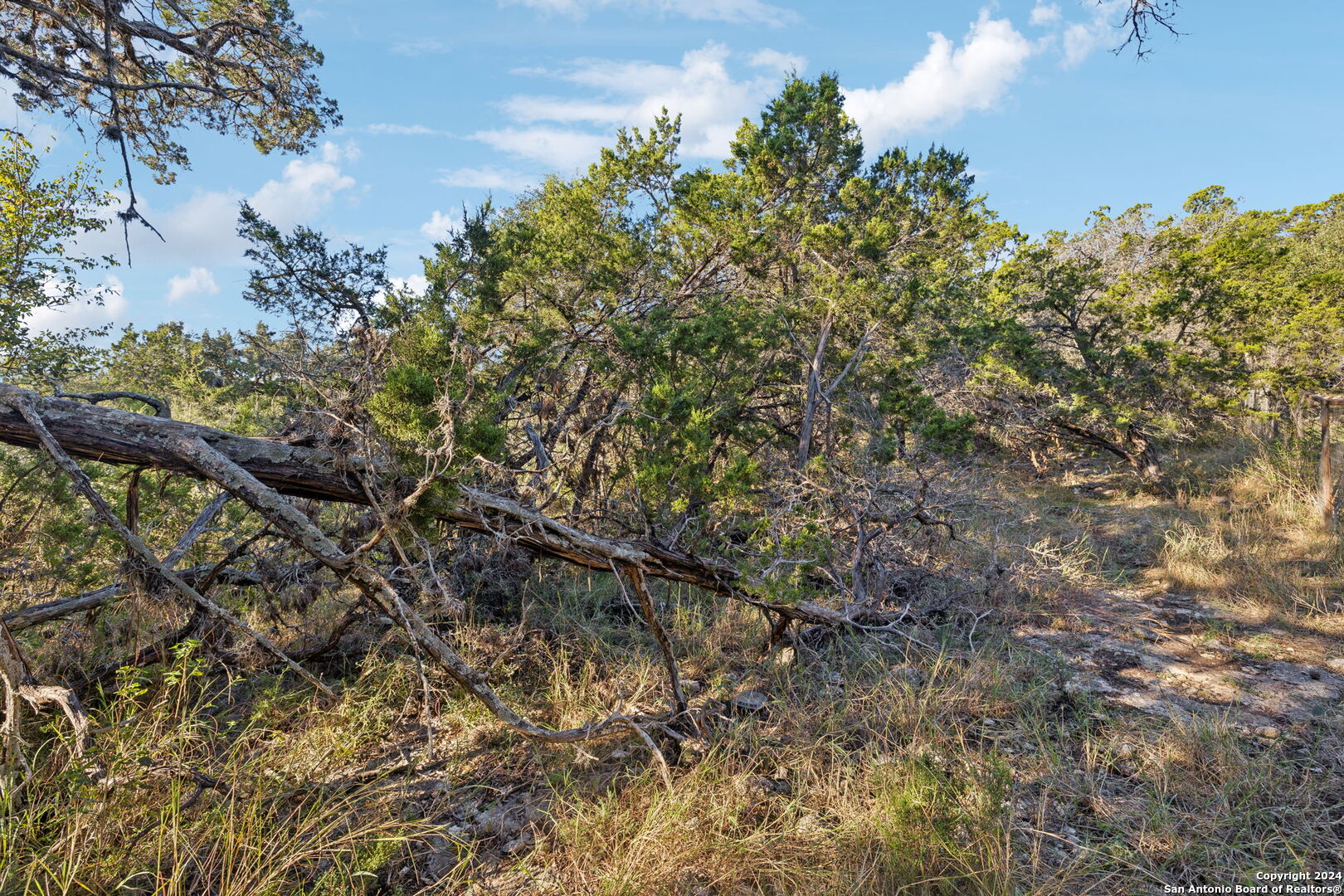 1831 W Lakeside Drive Canyon Lake TX 78133