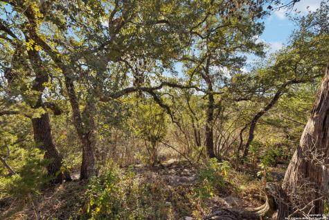 1831 W Lakeside Drive Canyon Lake TX 78133