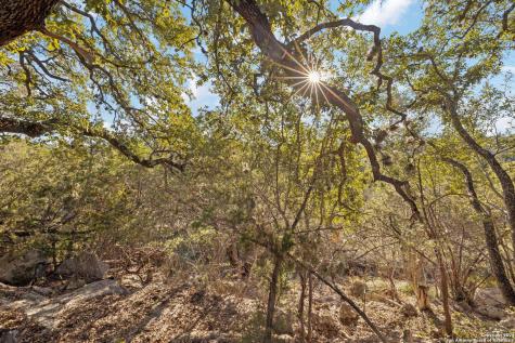 1831 W Lakeside Drive Canyon Lake TX 78133
