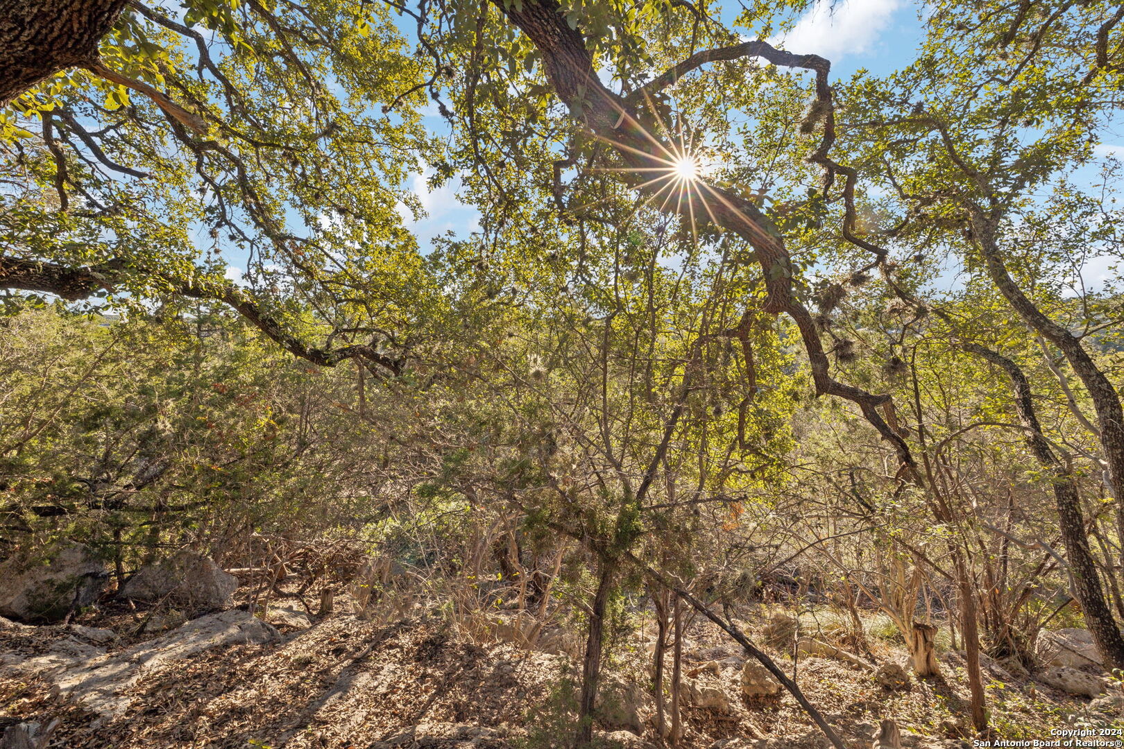 1831 W Lakeside Drive Canyon Lake TX 78133