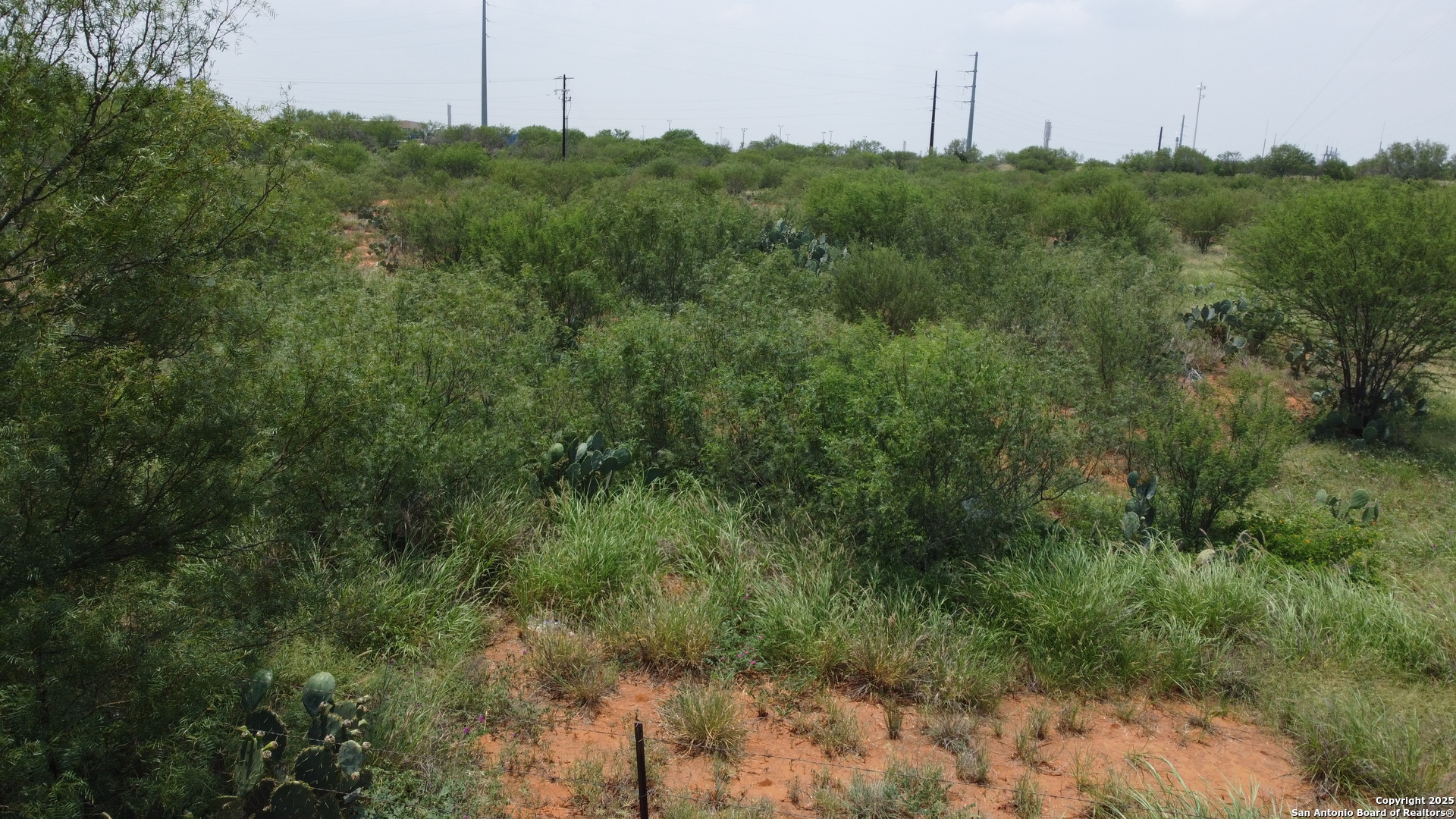 2438 Interstate 35 Cotulla TX 78014