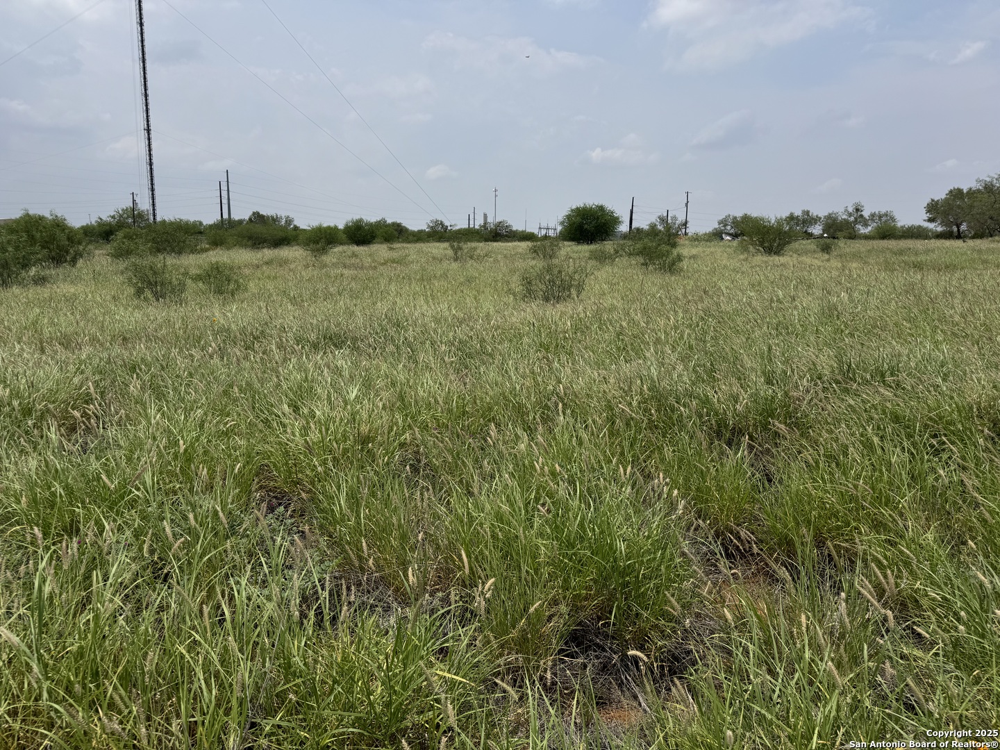 2438 Interstate 35 Cotulla TX 78014