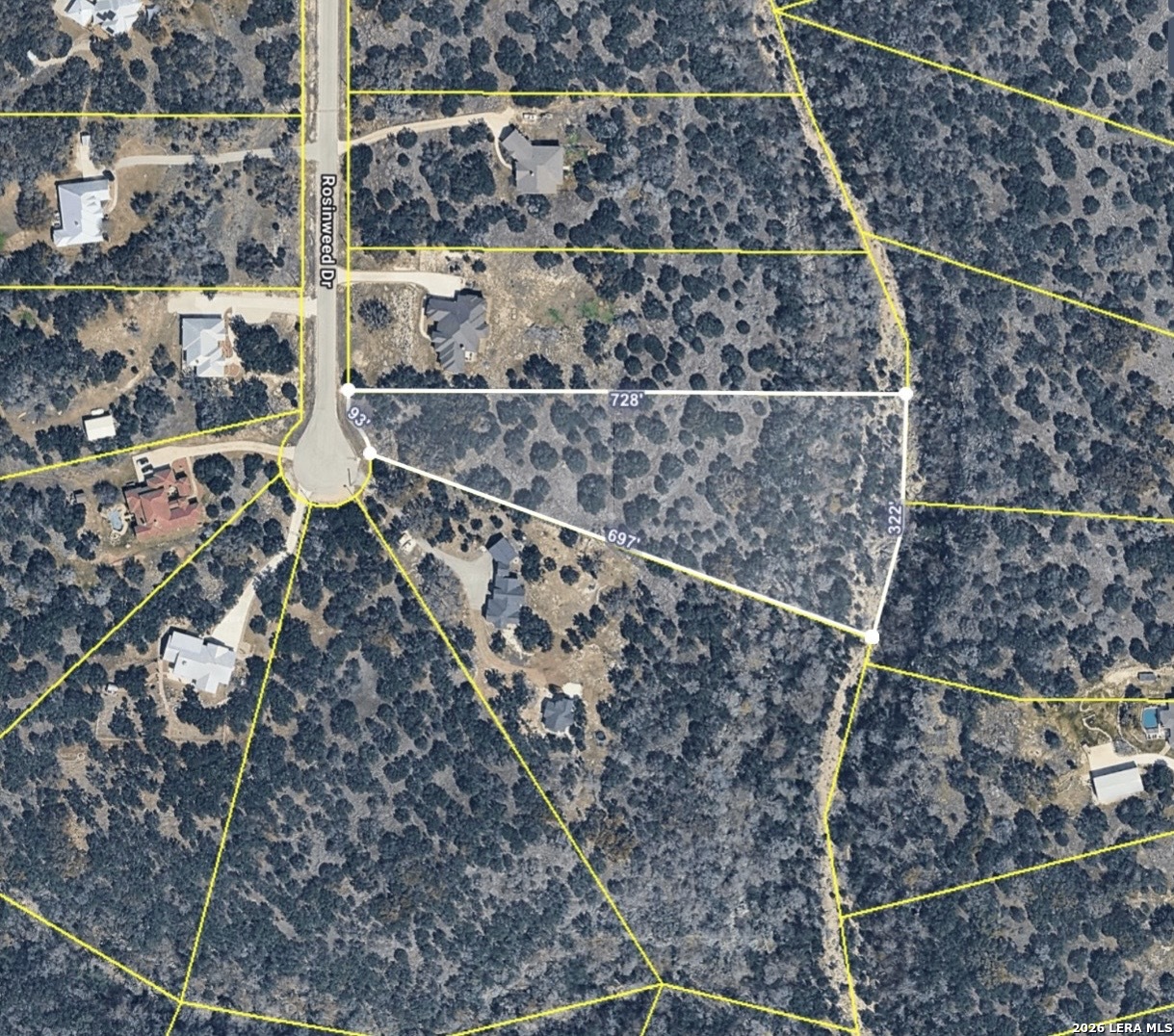 527 Rosinweed Drive Spring Branch TX 78070