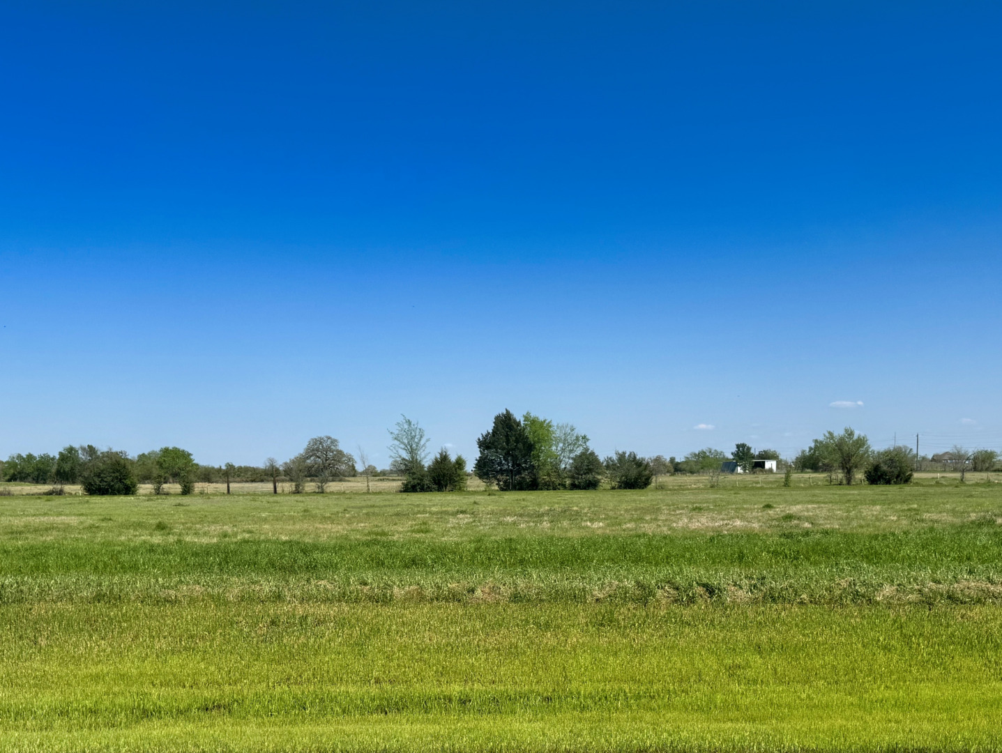 9916 Panther Creek Drive Iola TX 77861