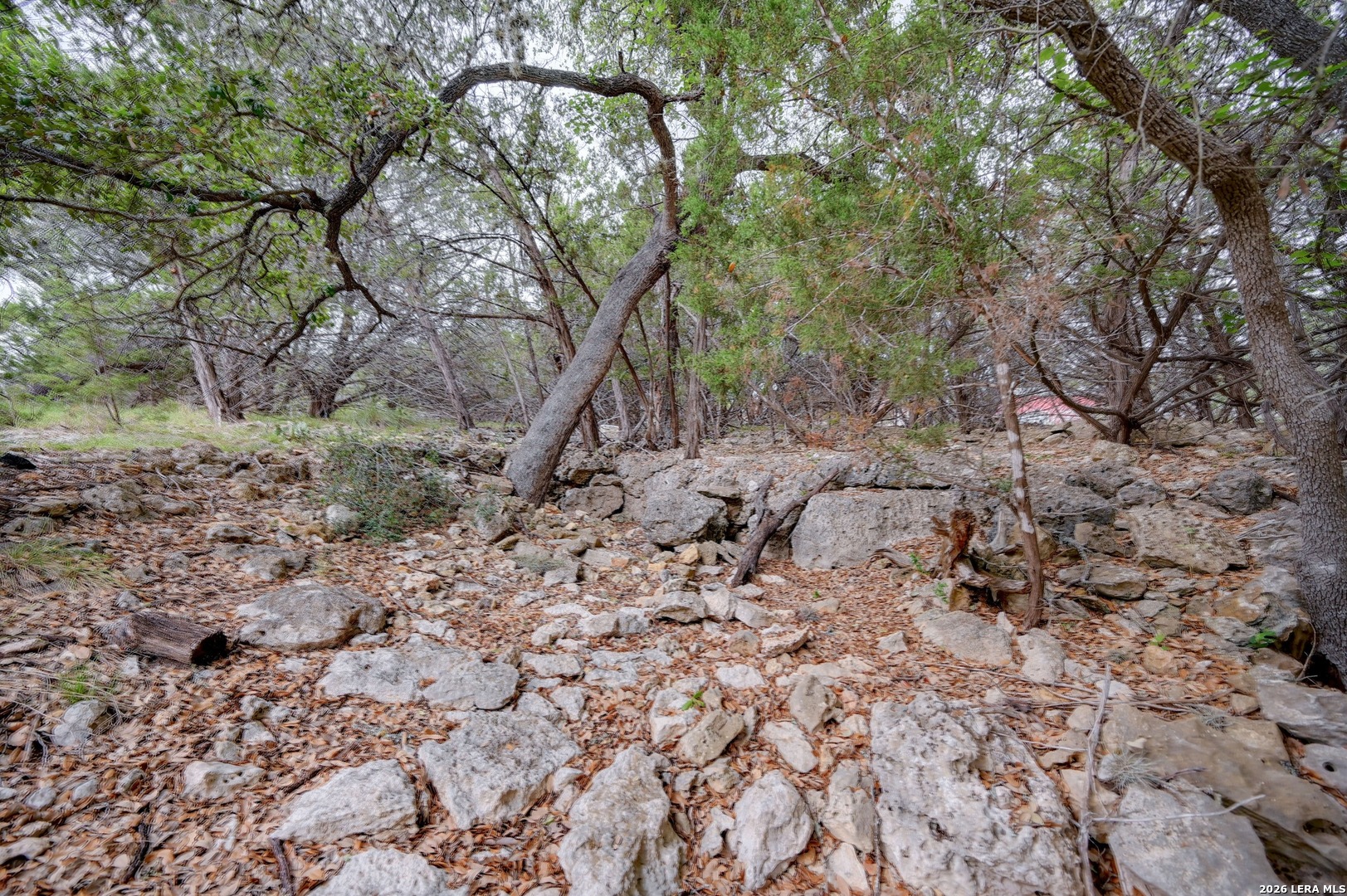 Lot 39 Moss Rose Bandera TX 78003